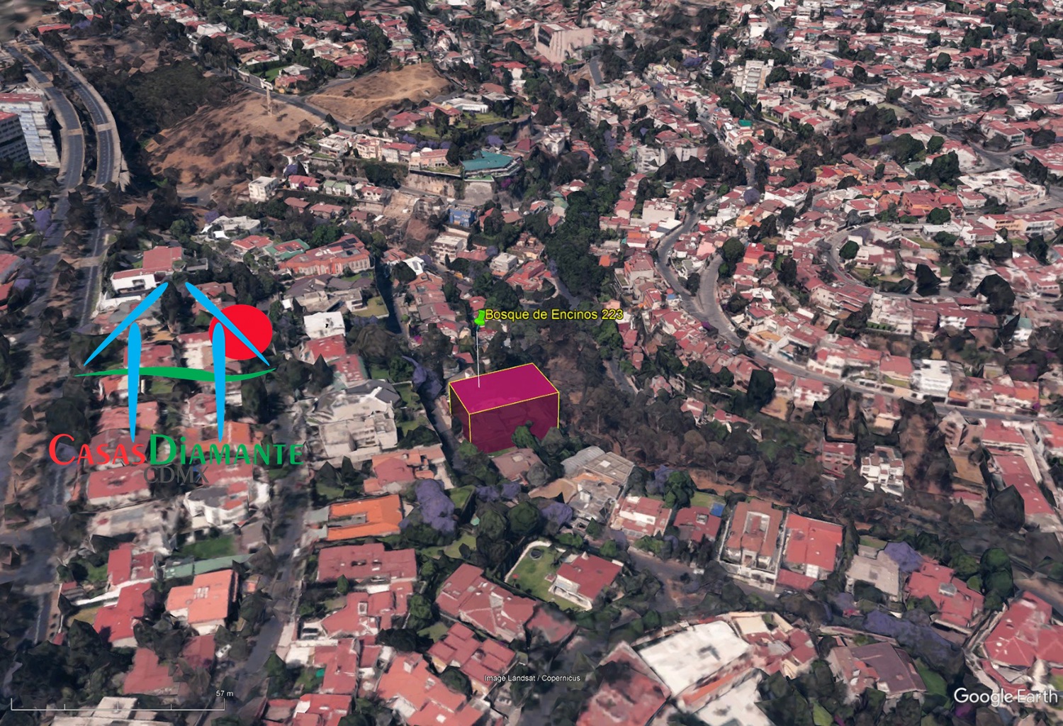 Bosques de las Lomas Terreno Jaguar BBC - Vista satelital 3